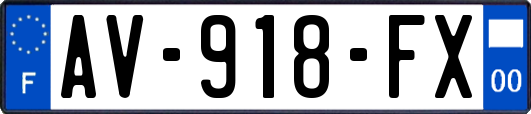 AV-918-FX