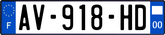 AV-918-HD