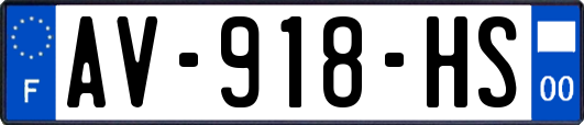 AV-918-HS