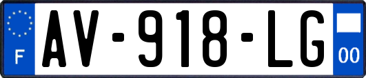 AV-918-LG