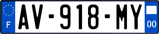AV-918-MY