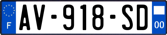 AV-918-SD