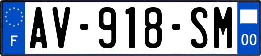 AV-918-SM
