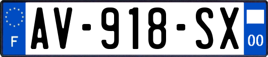 AV-918-SX