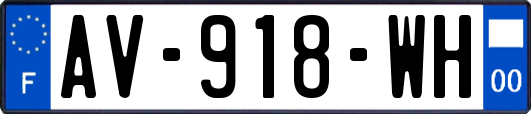 AV-918-WH