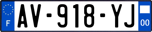AV-918-YJ