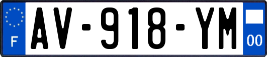 AV-918-YM
