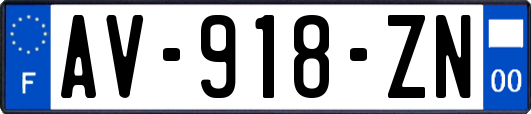 AV-918-ZN