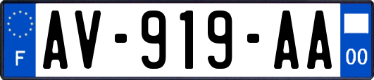 AV-919-AA