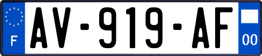 AV-919-AF