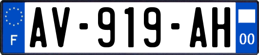 AV-919-AH