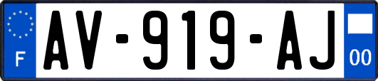 AV-919-AJ