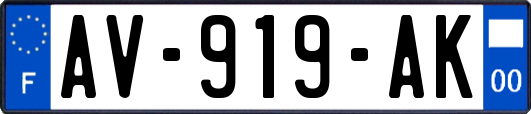 AV-919-AK