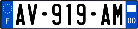 AV-919-AM