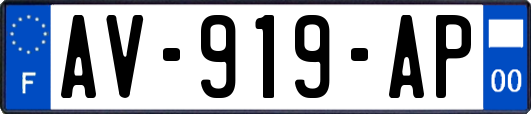 AV-919-AP