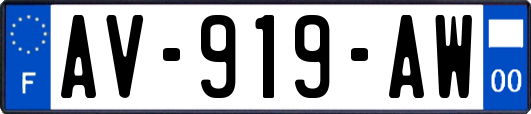 AV-919-AW