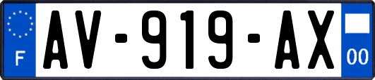AV-919-AX
