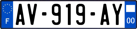 AV-919-AY