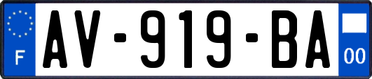 AV-919-BA