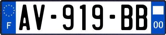 AV-919-BB