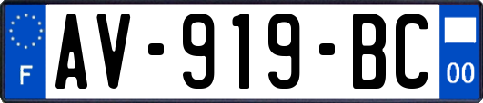 AV-919-BC