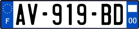 AV-919-BD