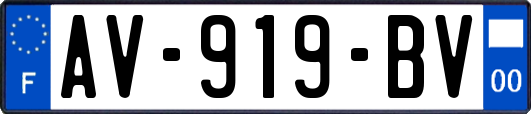 AV-919-BV