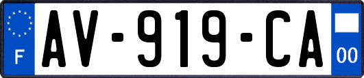 AV-919-CA