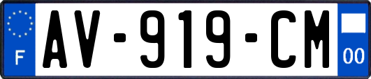 AV-919-CM