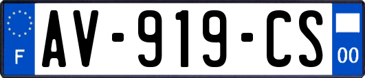 AV-919-CS