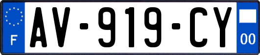 AV-919-CY