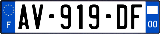 AV-919-DF