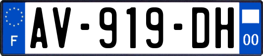 AV-919-DH