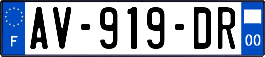 AV-919-DR