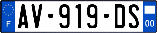 AV-919-DS