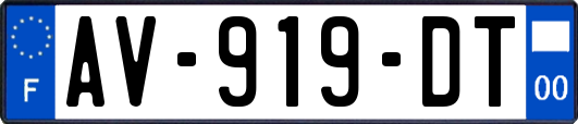 AV-919-DT