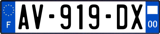 AV-919-DX