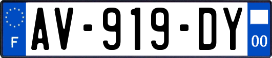 AV-919-DY