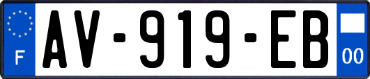AV-919-EB