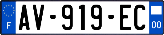 AV-919-EC