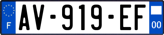 AV-919-EF