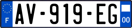 AV-919-EG