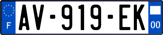 AV-919-EK