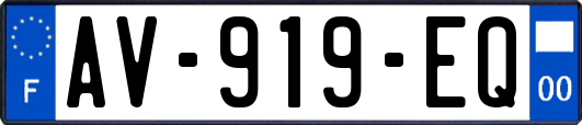 AV-919-EQ