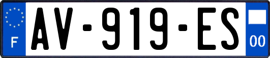 AV-919-ES