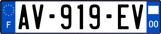 AV-919-EV