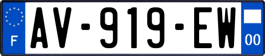 AV-919-EW