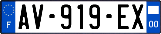 AV-919-EX