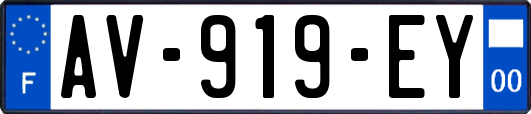 AV-919-EY