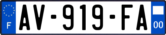 AV-919-FA